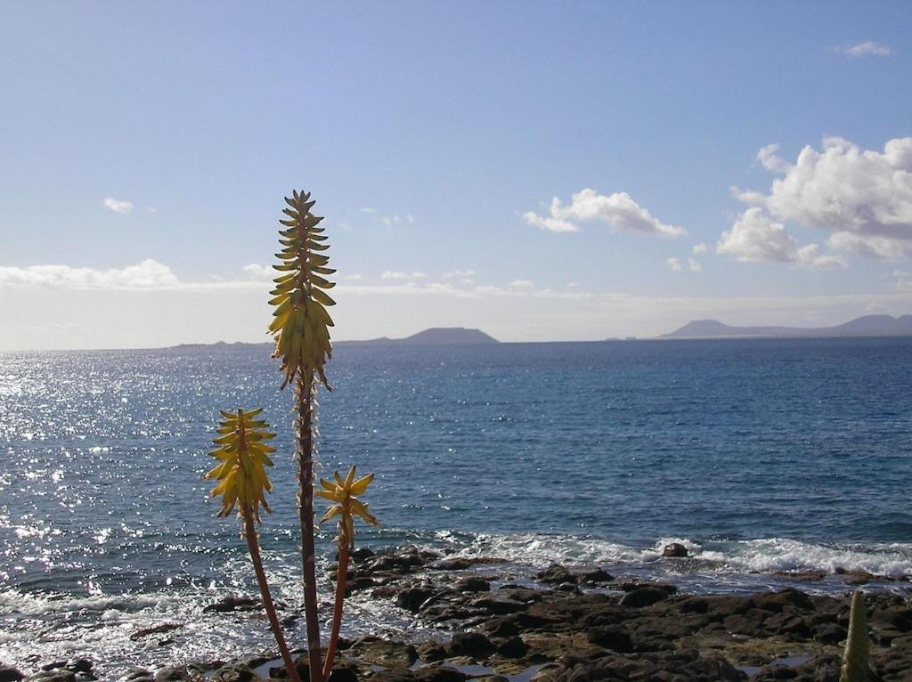 Casa Aguamarina 23B Villa Playa Blanca  Buitenkant foto